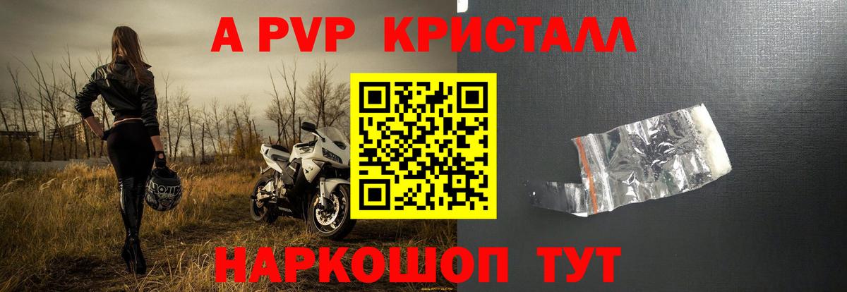 Альфа ПВП СК КРИС Магадан