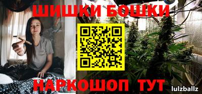 прущие крисы Будённовск