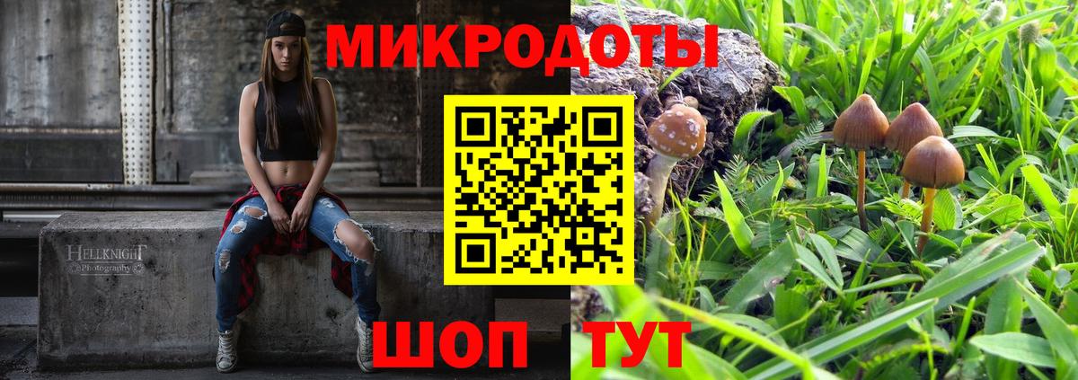 где купить наркотик  Галлюциногенные грибы прущие грибы  Магадан  Вход с VPN  Галлюциногенные грибы мицелий 