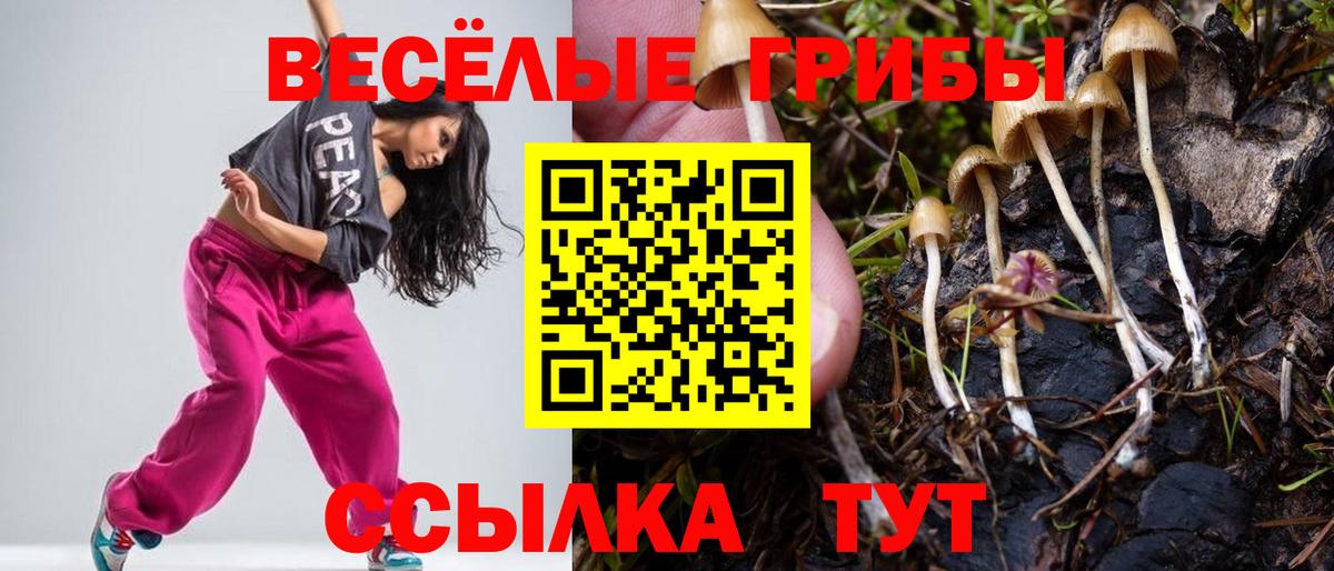Псилоцибиновые грибы мухоморы Магадан
